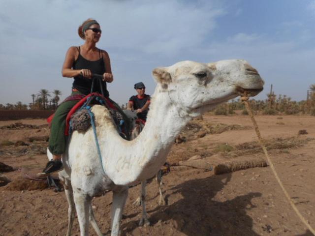Hotel Carrefour Des Nomades M'Hamid El Ghizlane Exterior foto